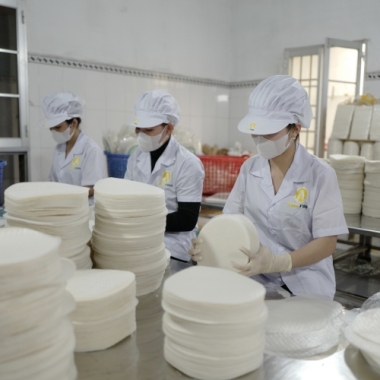 Gia Công Bánh Tráng Xuất Khẩu Đạt Chuẩn ISO 22000 & HACCP